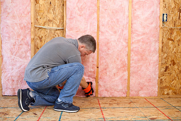 Best Insulation Inspection Services  in Cannelton, IN
